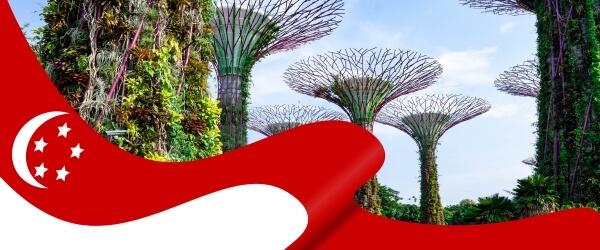 Profil De La République De Singapour | Lois Et Réglementations